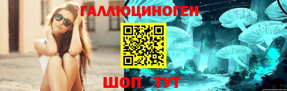 Норильск  Галлюциногенные грибы мухоморы  Вход с VPN 