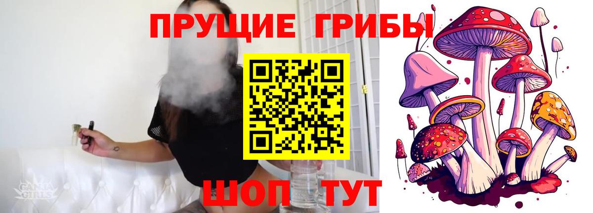 Галлюциногенные грибы прущие грибы Норильск